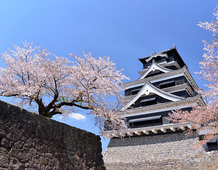 熊本城と帰還